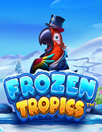 ทาง เข้า เล่น เกม superslot แบบทดลองเล่น ก่อนเล่นจริงที่นี่